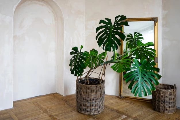 The Role of Biophilic Design in Post-Pandemic Interiors (4) The Role of Biophilic Design in Post Pandemic Interiors (4)